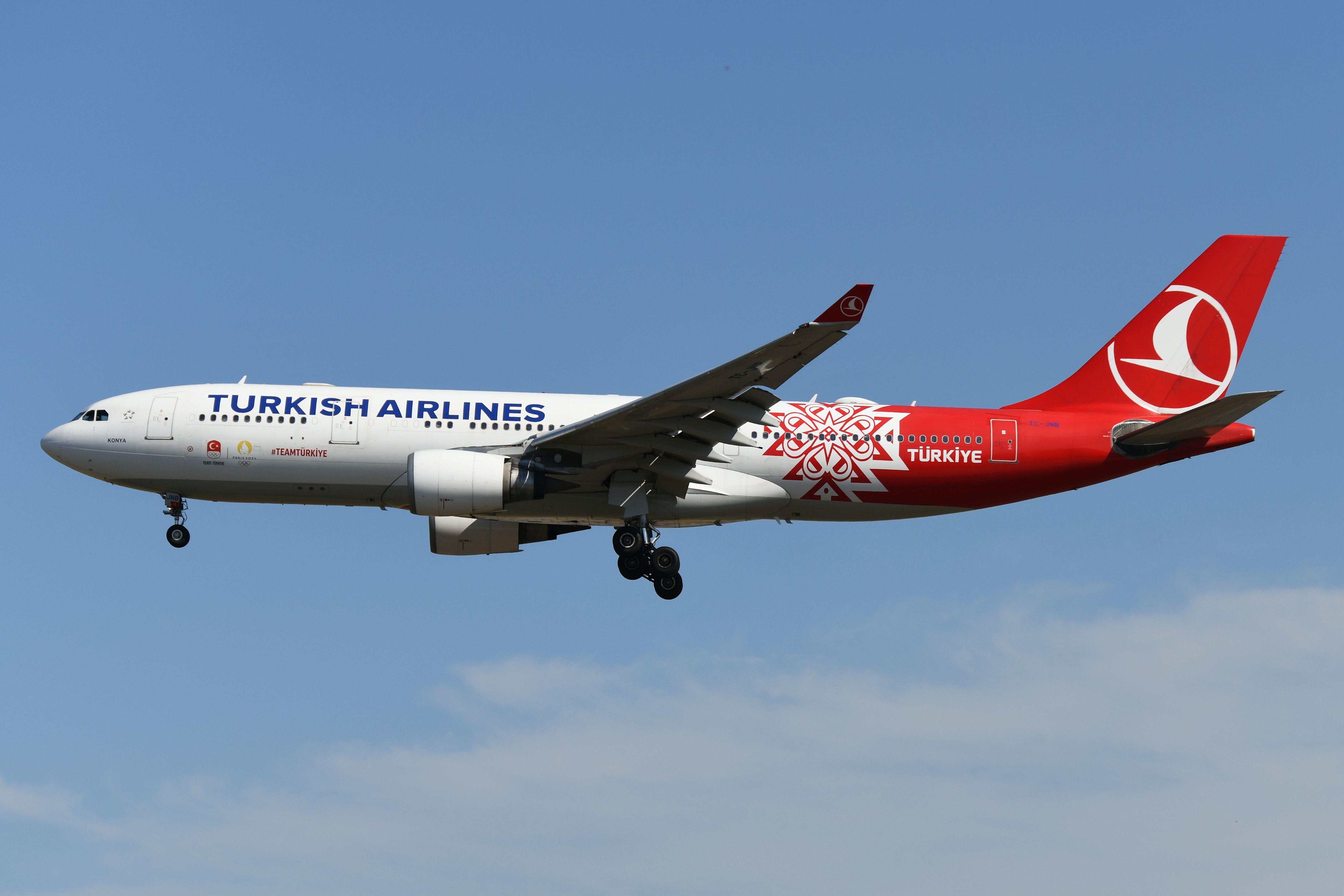 TC-JNB @ EDDF - Turkish A332 in special colors - by FerryPNL
