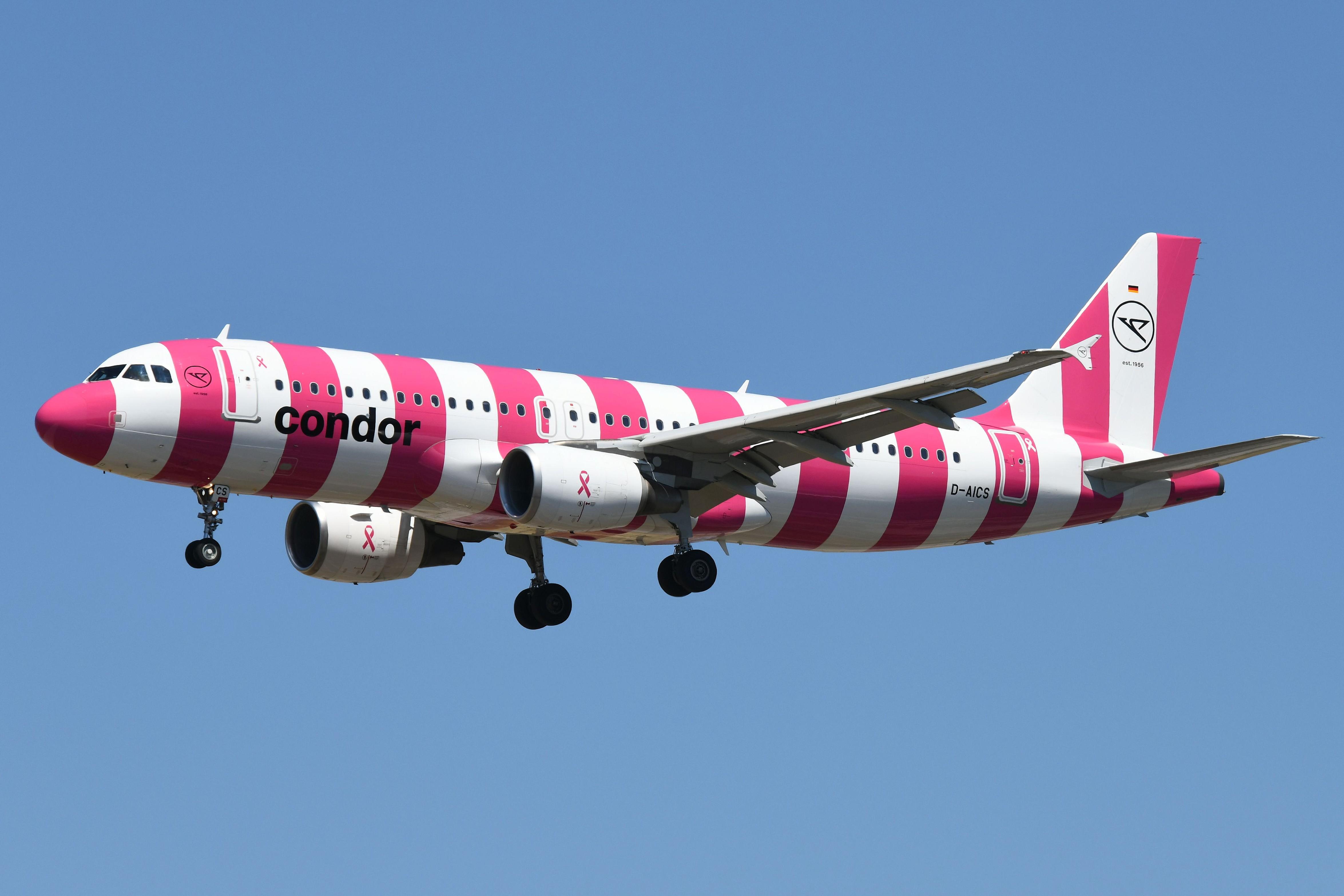 D-AICS photo, click to enlarge