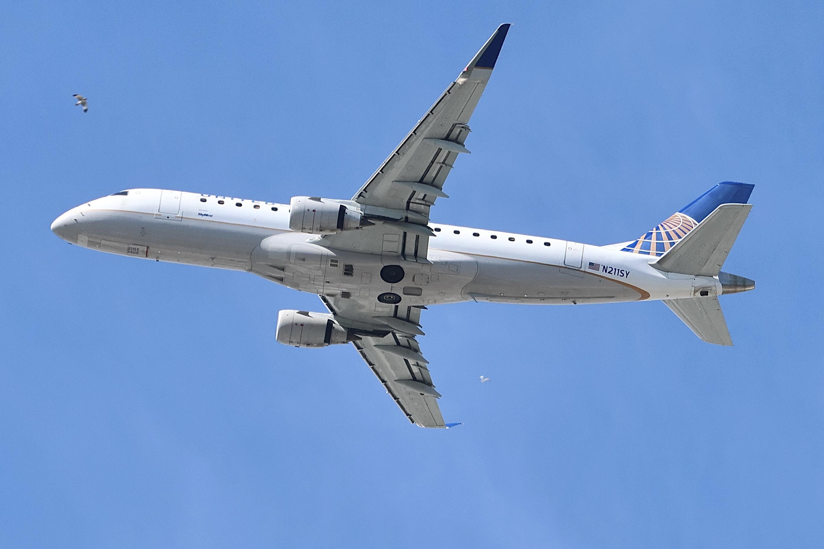 N211SY photo, click to enlarge