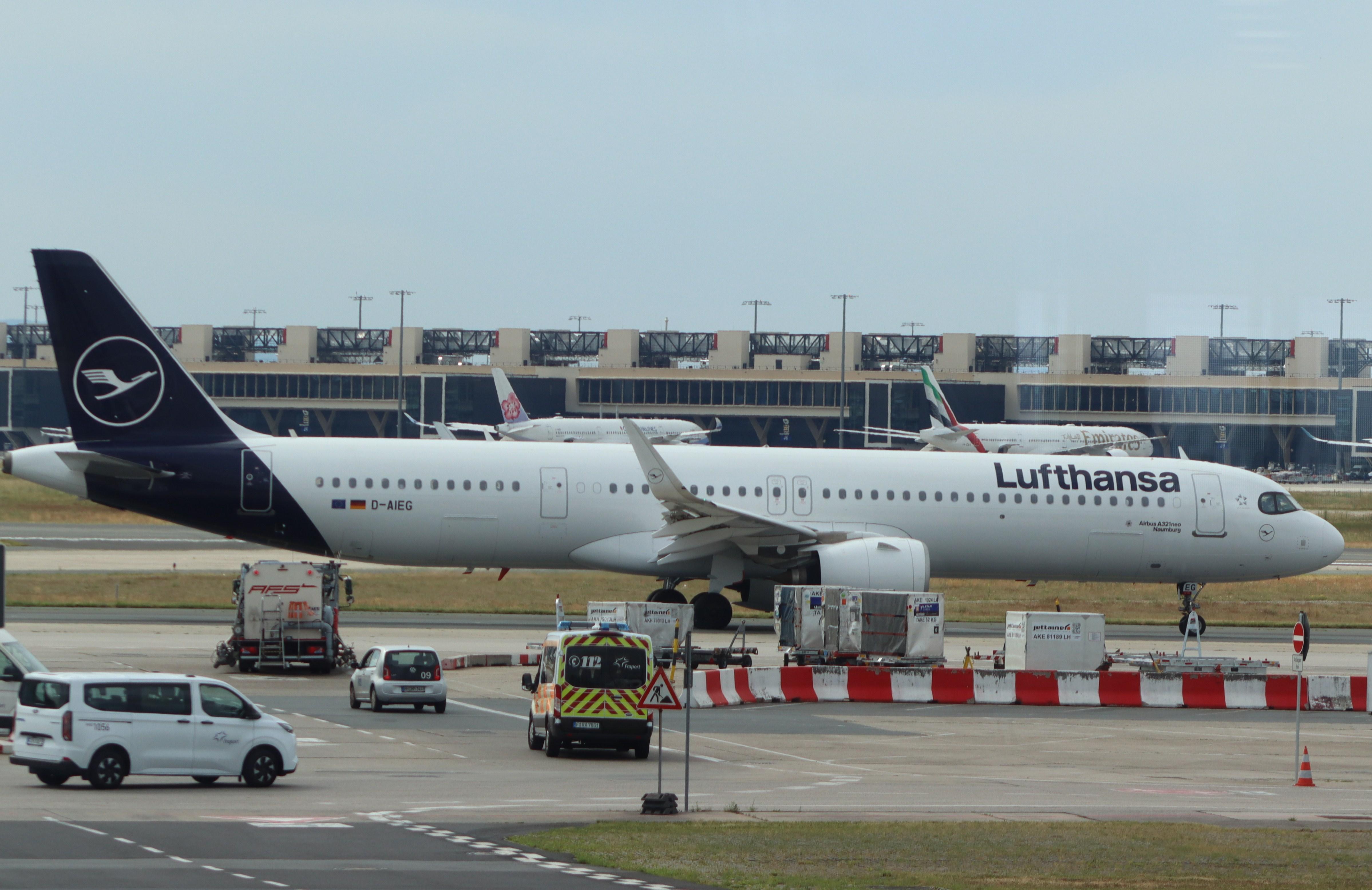 D-AIEG photo, click to enlarge