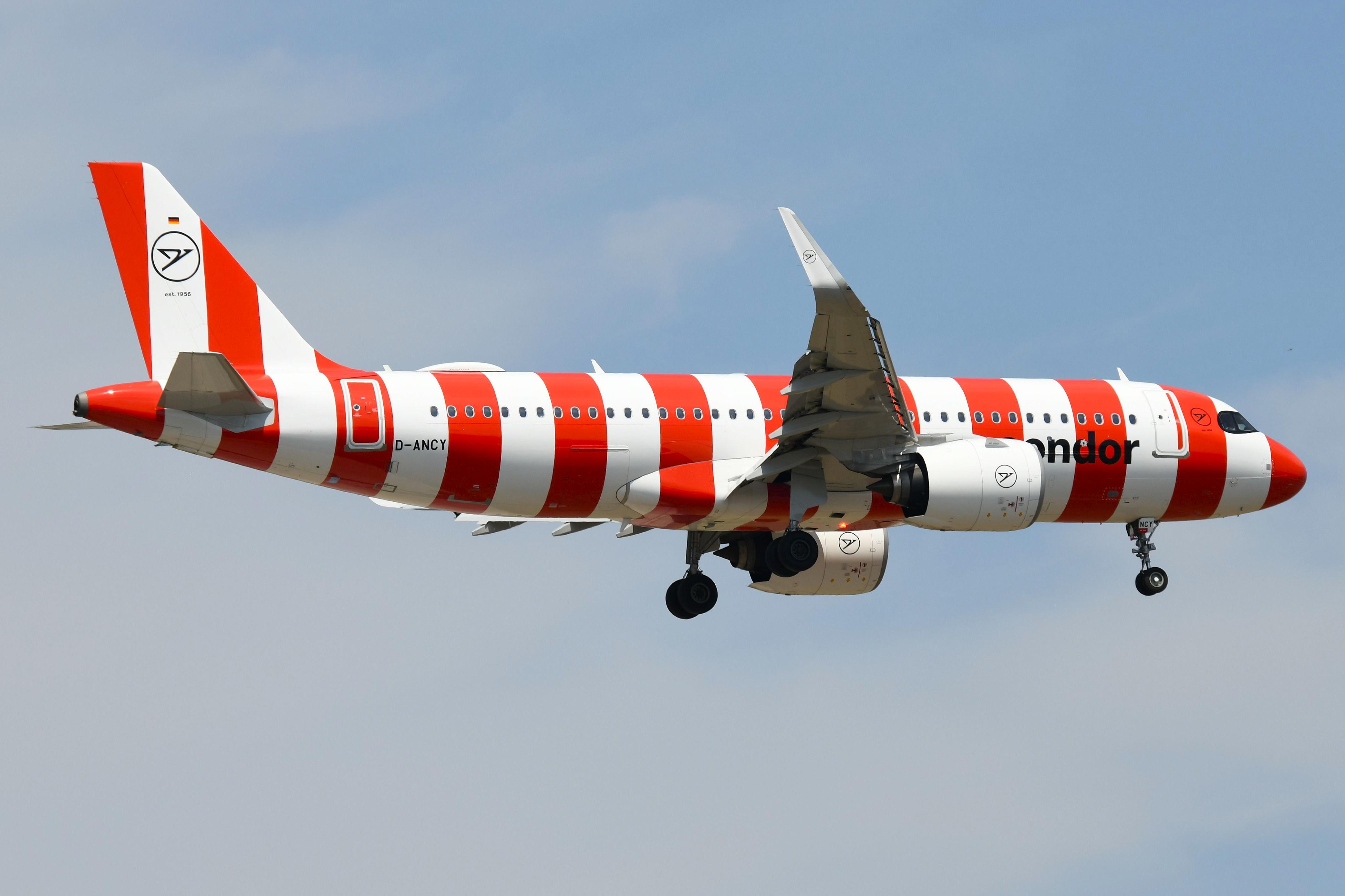 D-ANCY @ EDDF - Arrival of Red Condor A320N - by FerryPNL