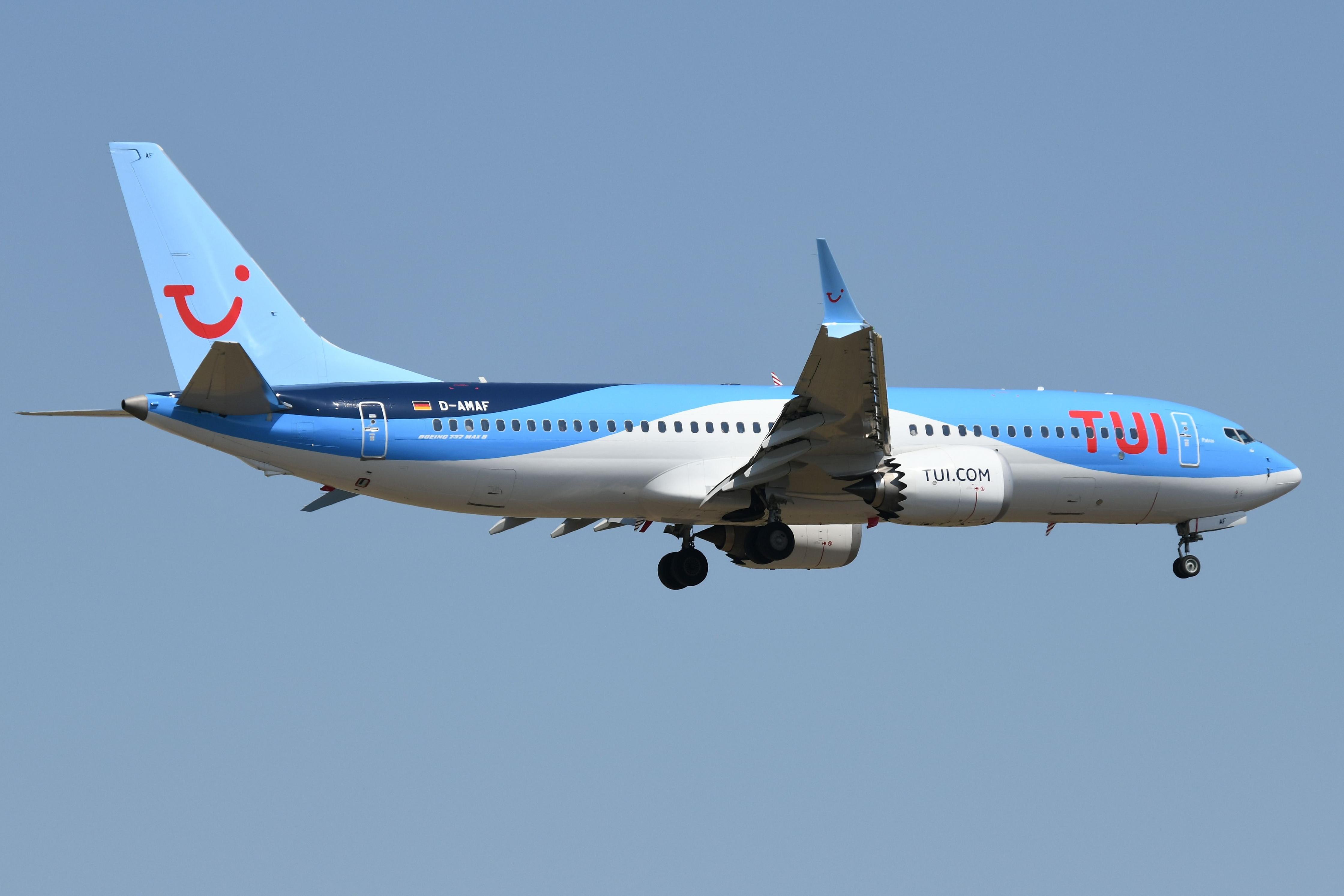 D-AMAF @ EDDF - TUI B738MAX landing - by FerryPNL