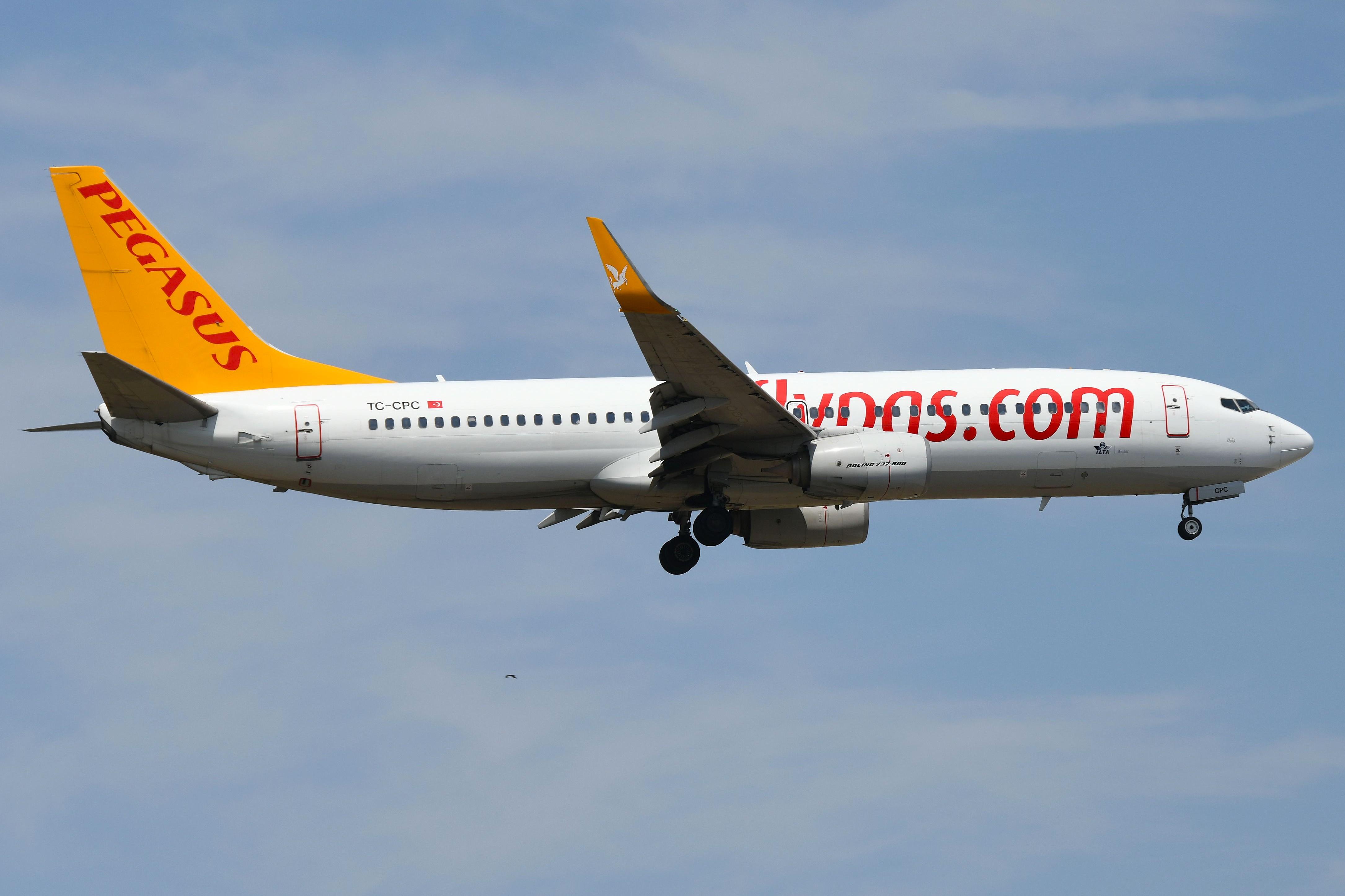 TC-CPC @ EDDF - Pegasus B738 - by FerryPNL