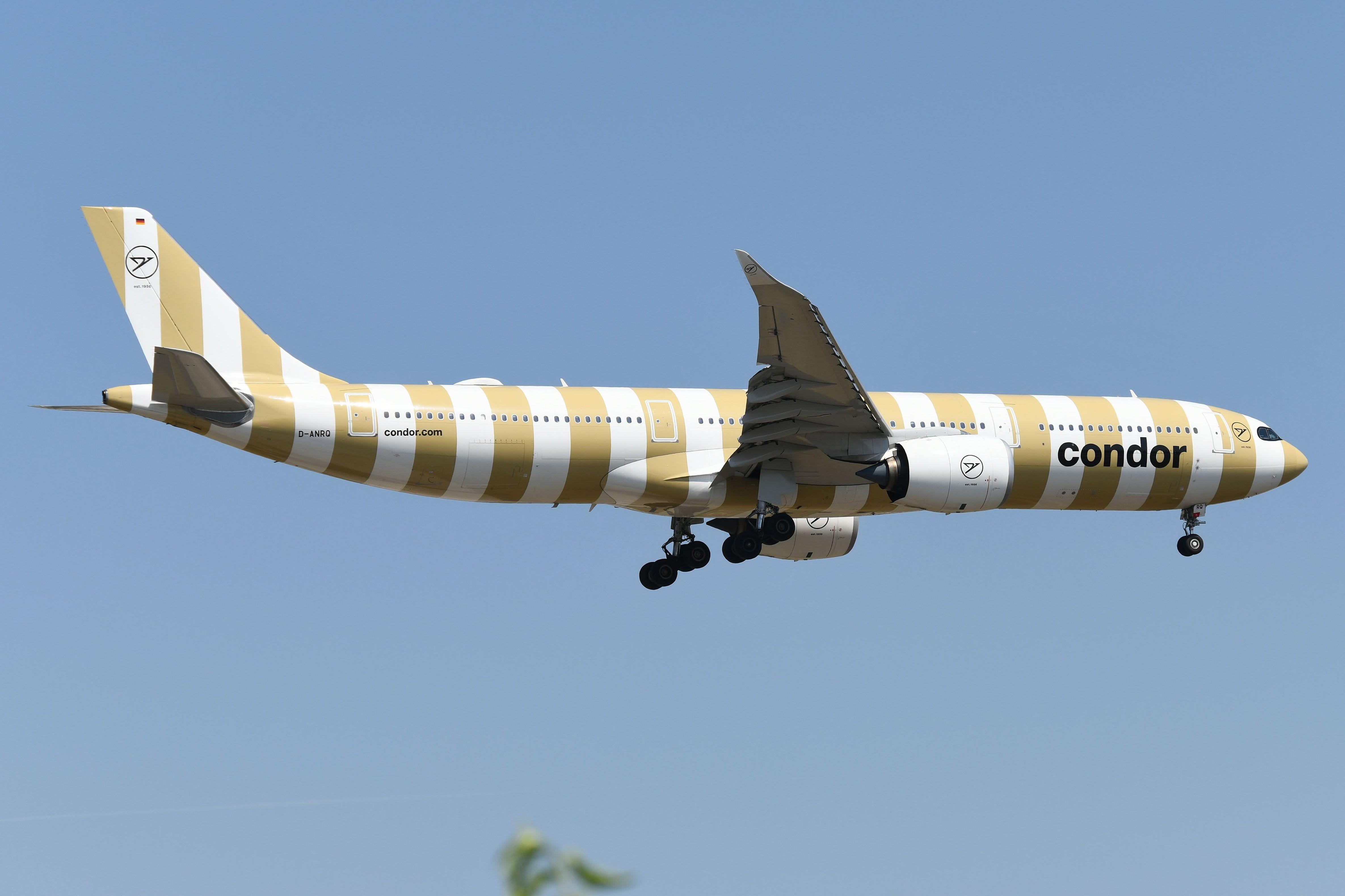 D-ANRQ @ EDDF - Condor A339 landing - by FerryPNL
