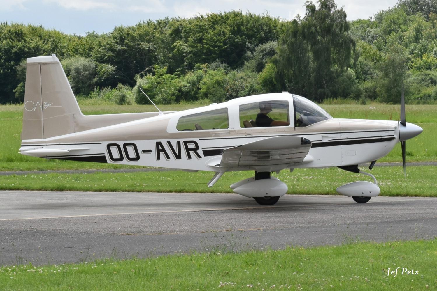 OO-AVR @ EBGB - At Grimbergen on 5-7-2026. - by Jef Pets