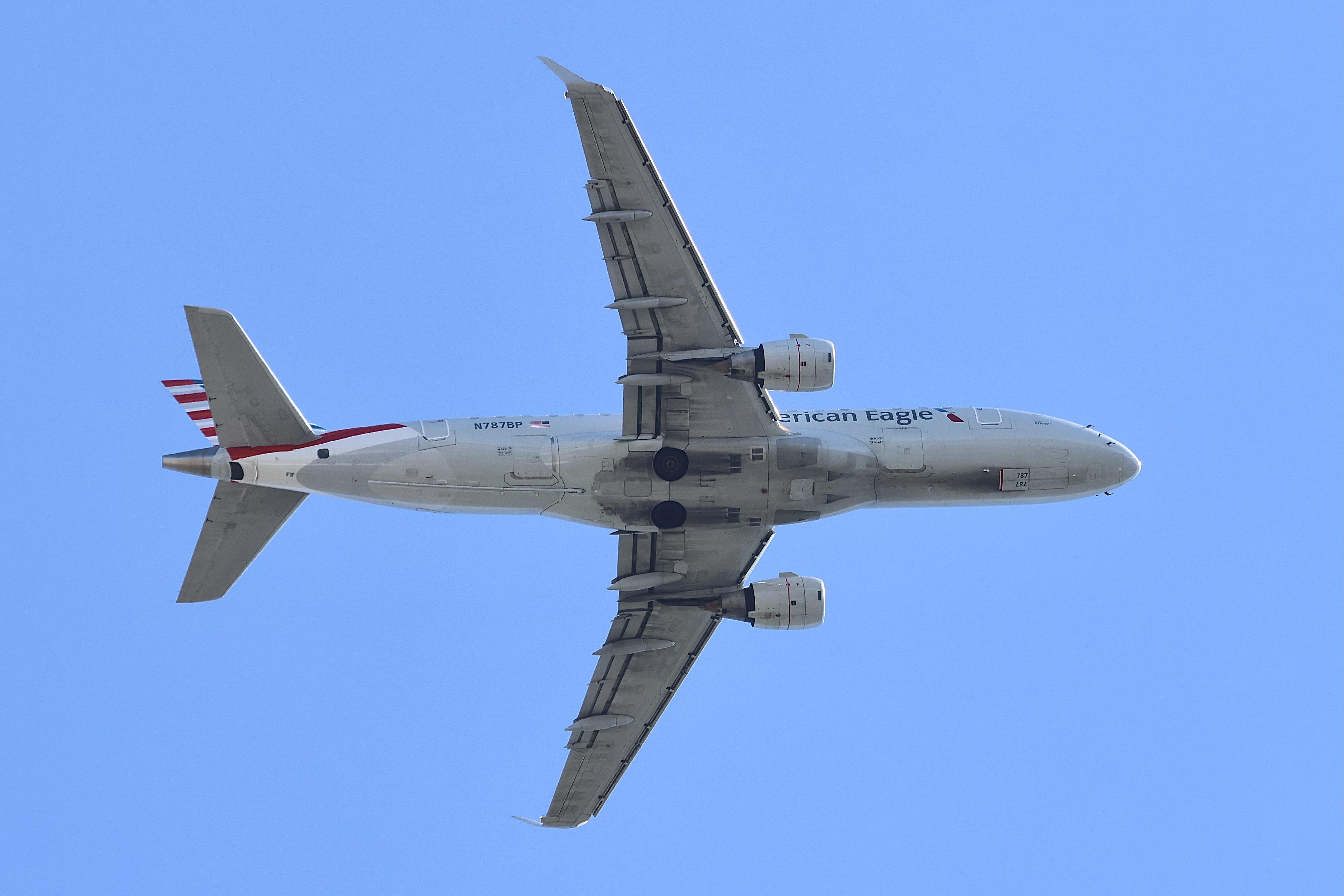 N787BP photo, click to enlarge