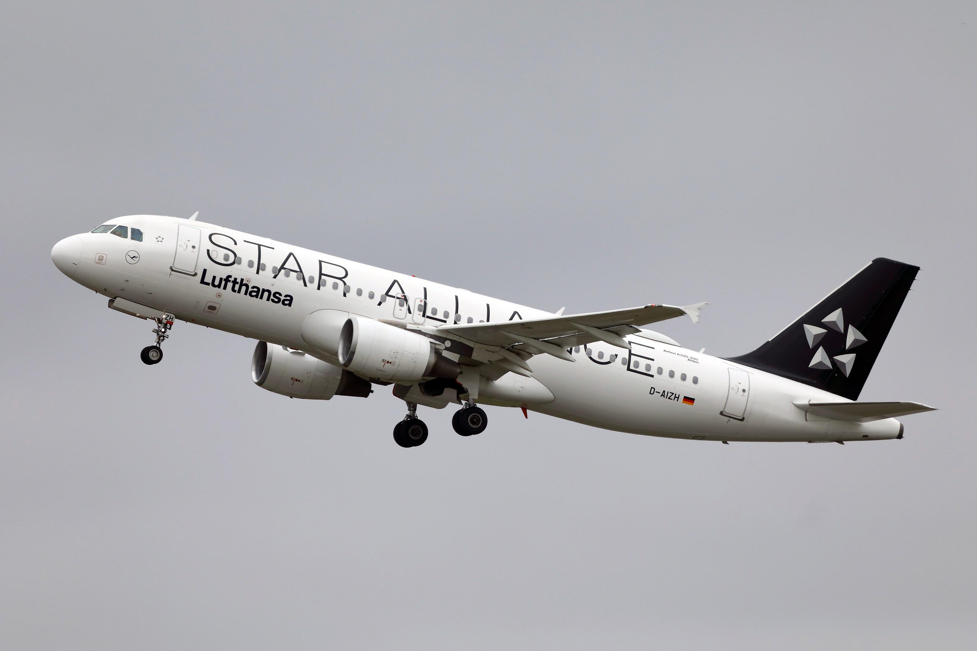 D-AIZH photo, click to enlarge