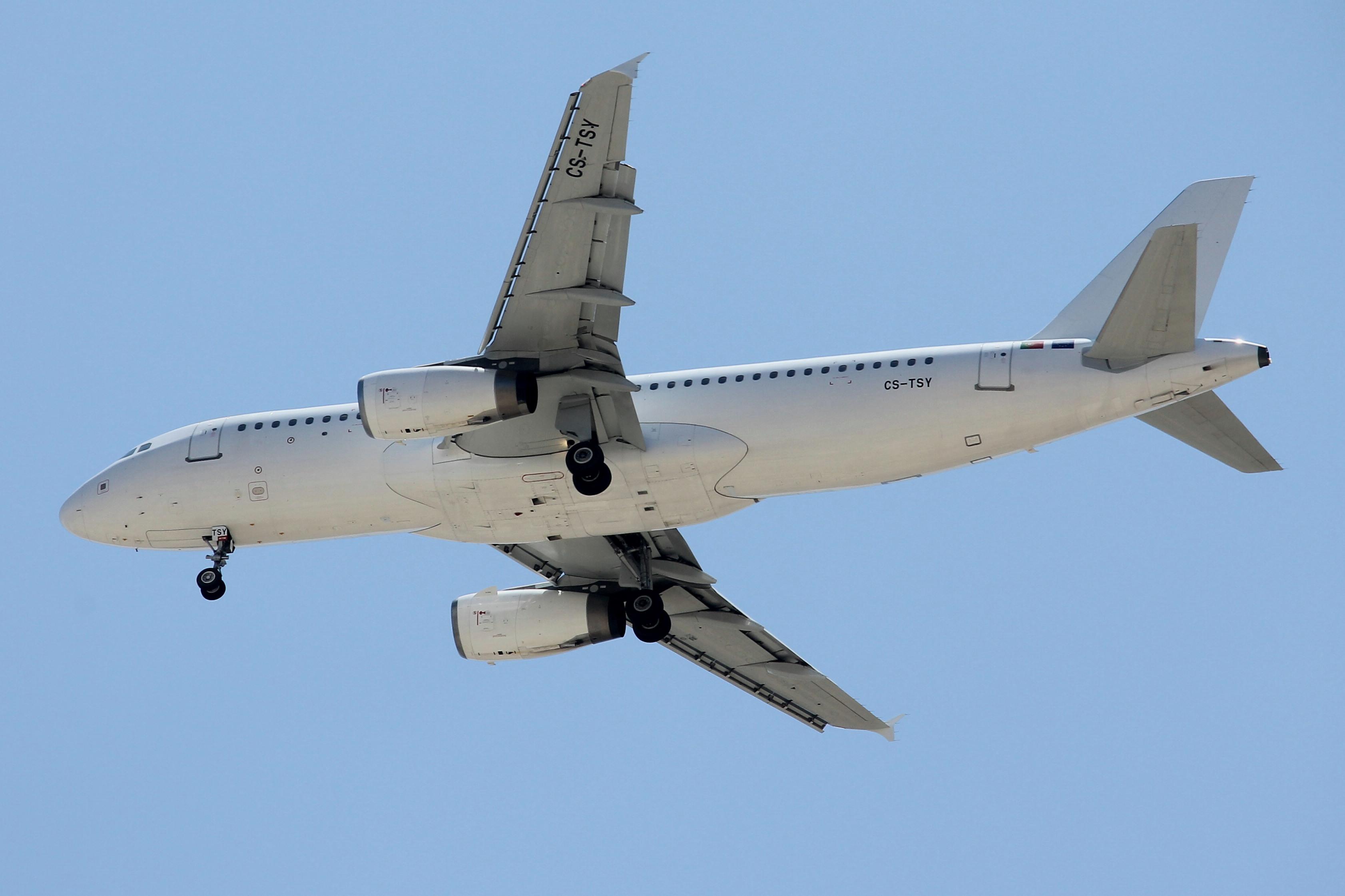 TC-LGA photo, click to enlarge