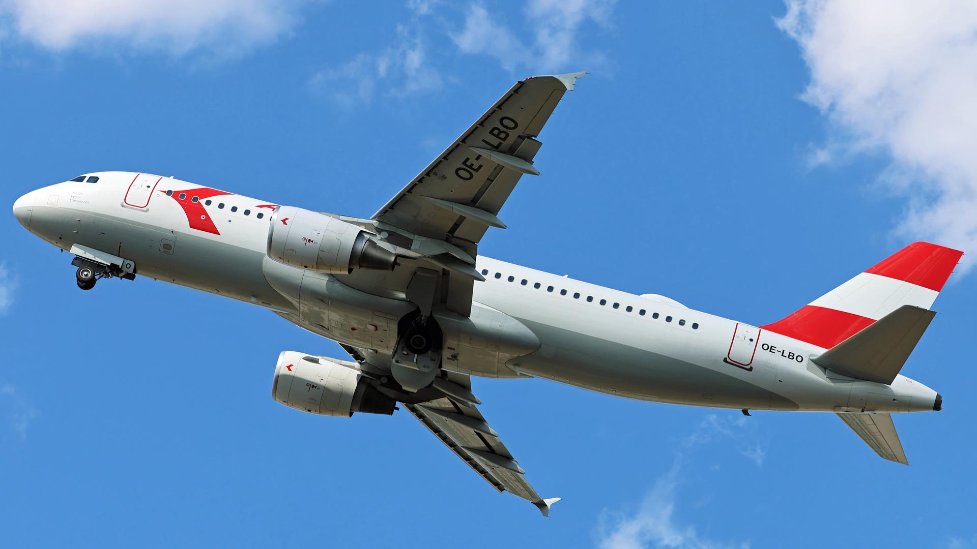 OE-LBO photo, click to enlarge