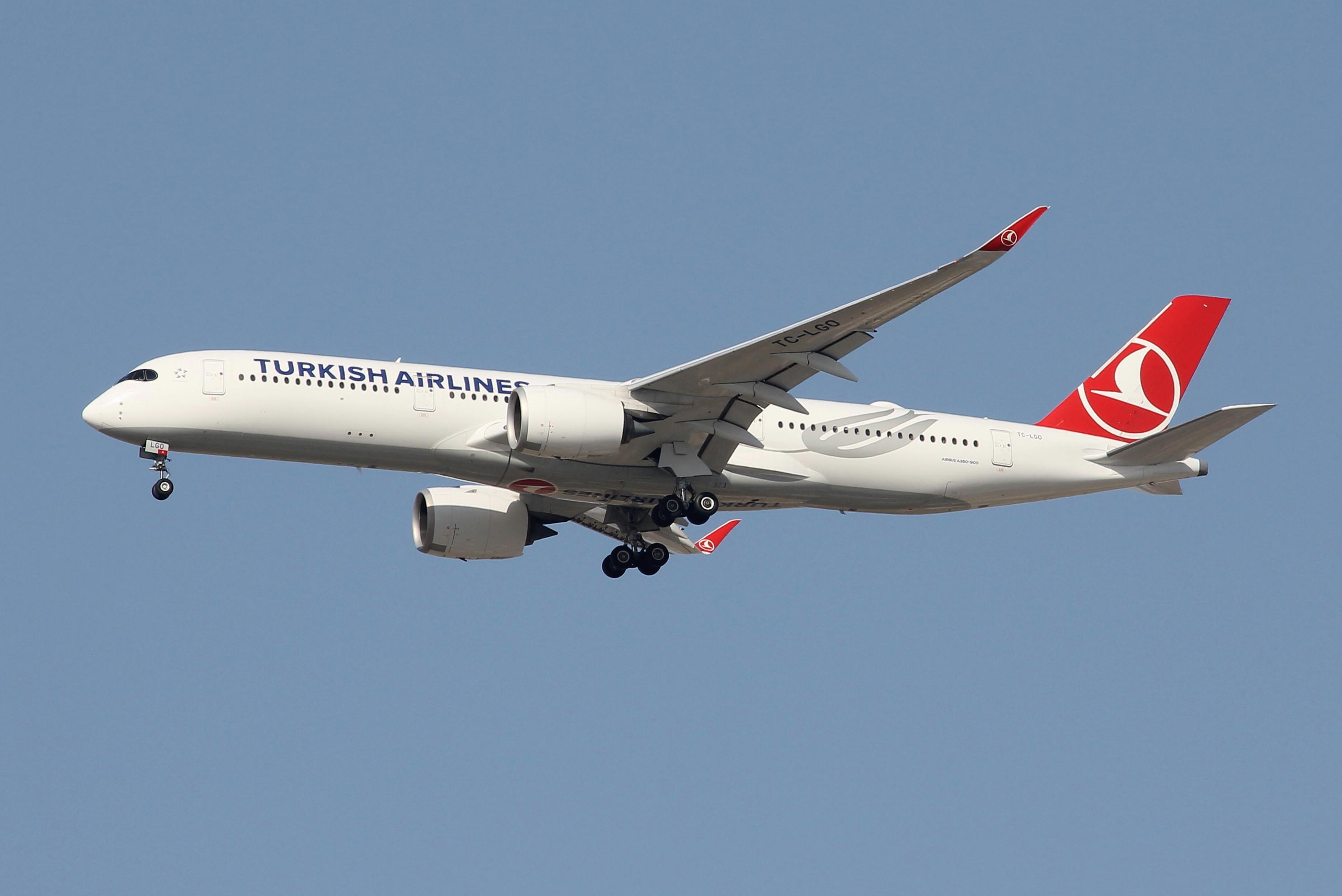 TC-LGO photo, click to enlarge