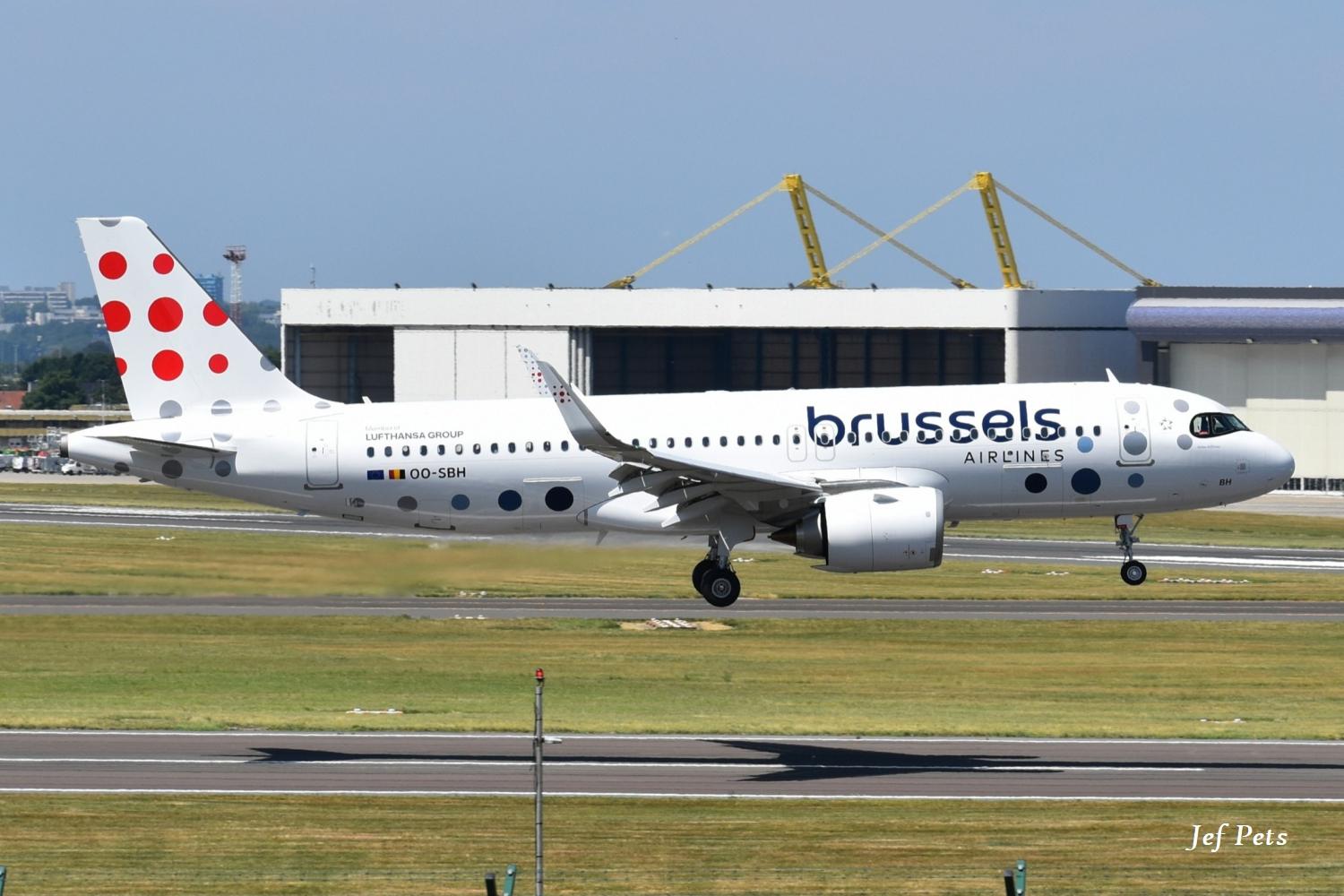OO-SBH @ EBBR - Landing at Brussels Airport on 11-7-2026. - by Jef Pets