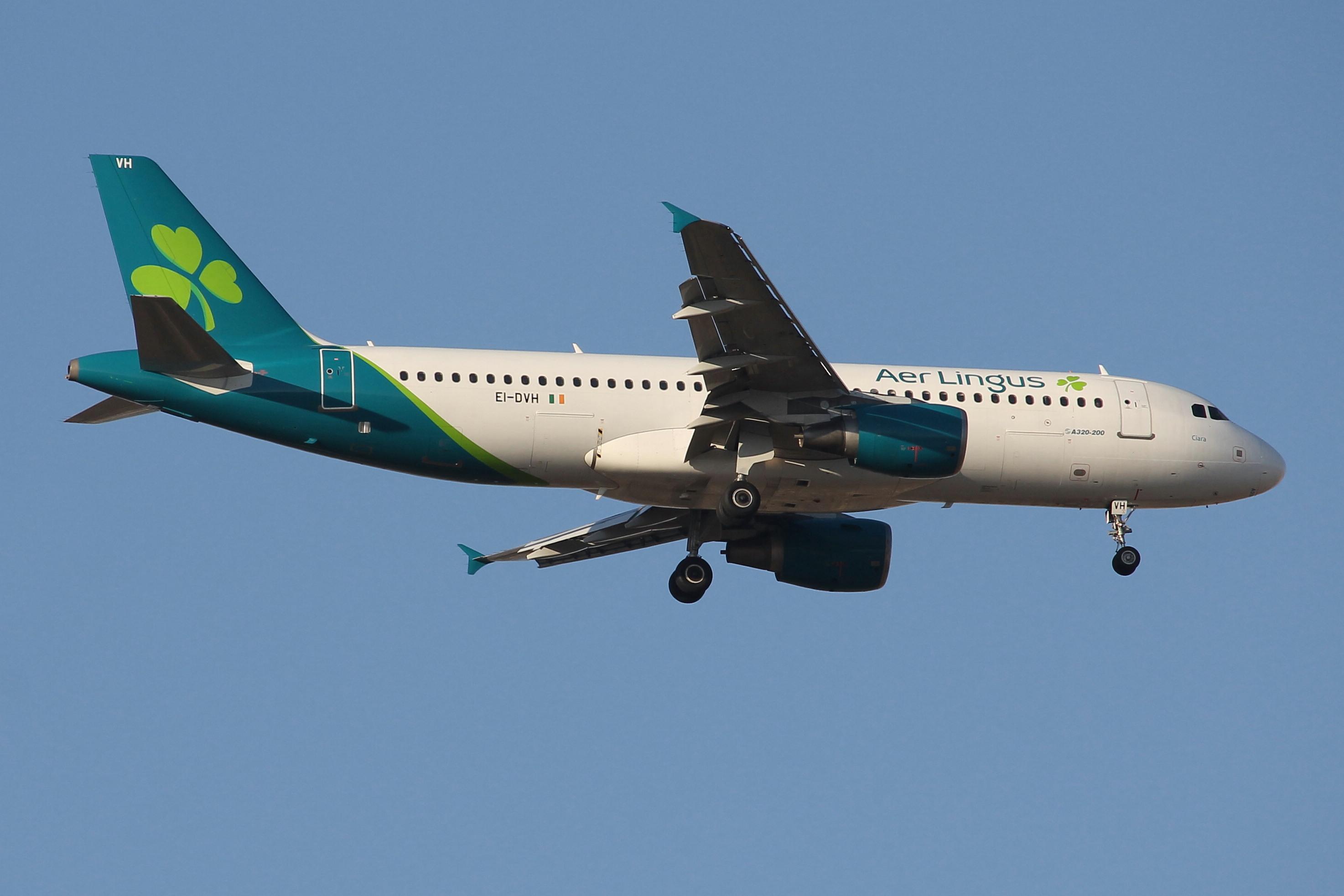 EI-DVH photo, click to enlarge
