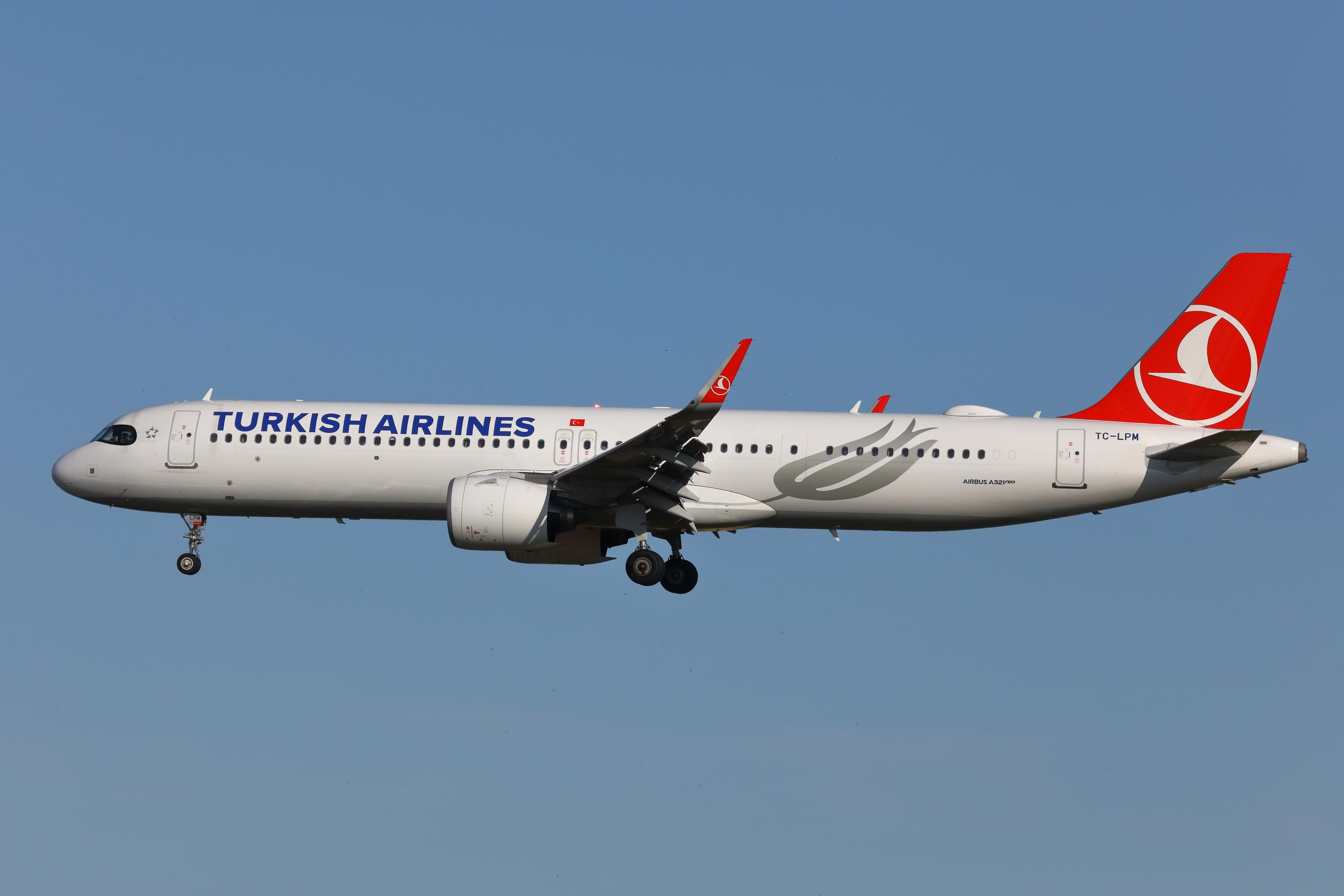TC-LPM photo, click to enlarge