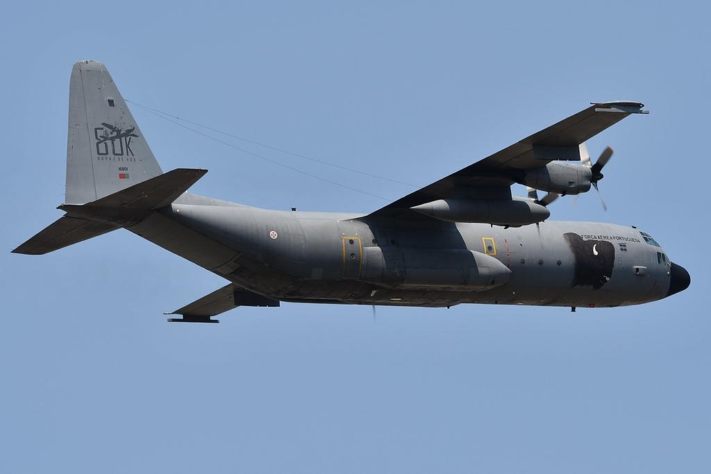 16801 photo, click to enlarge