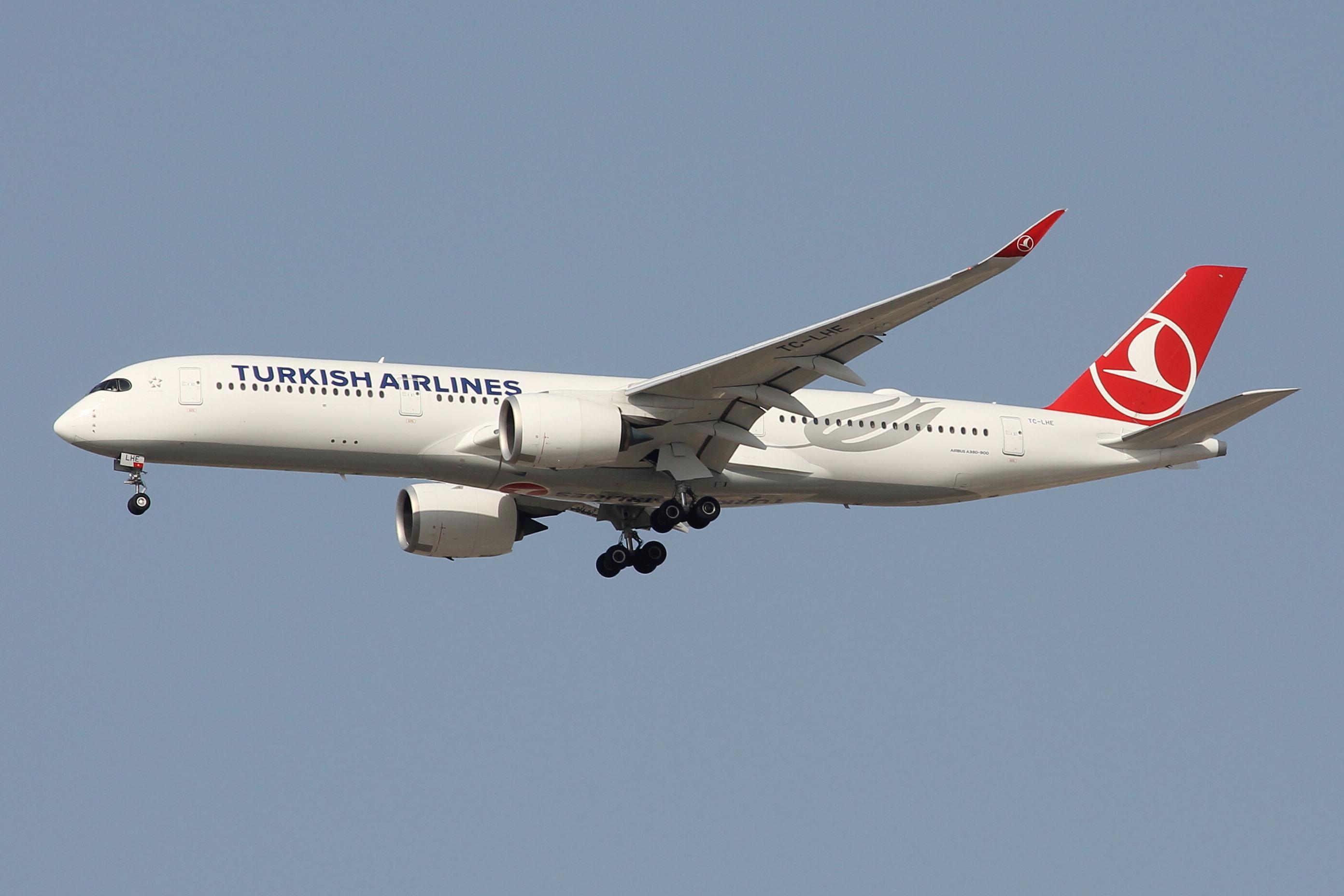 TC-LHE photo, click to enlarge