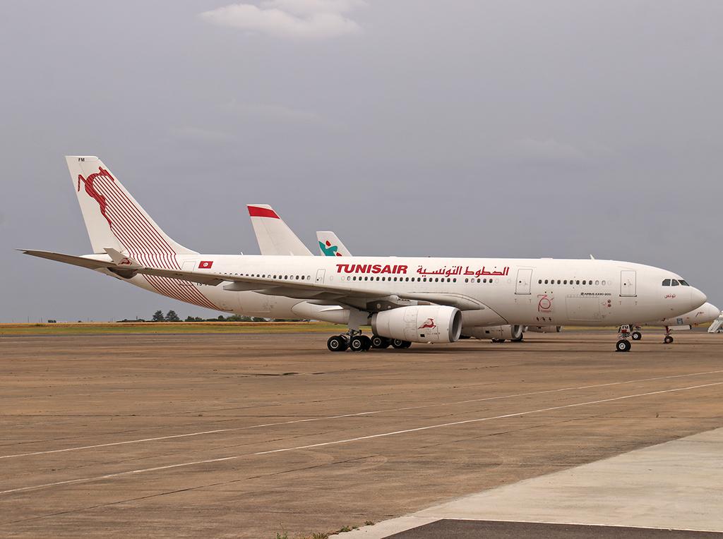 TS-IFM photo, click to enlarge