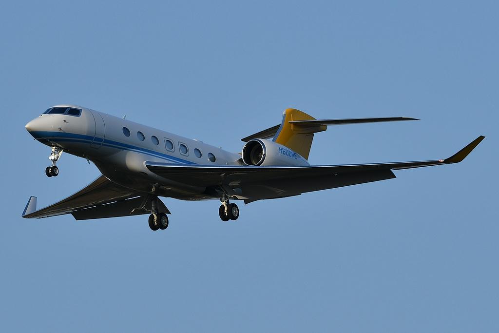 N600ME photo, click to enlarge