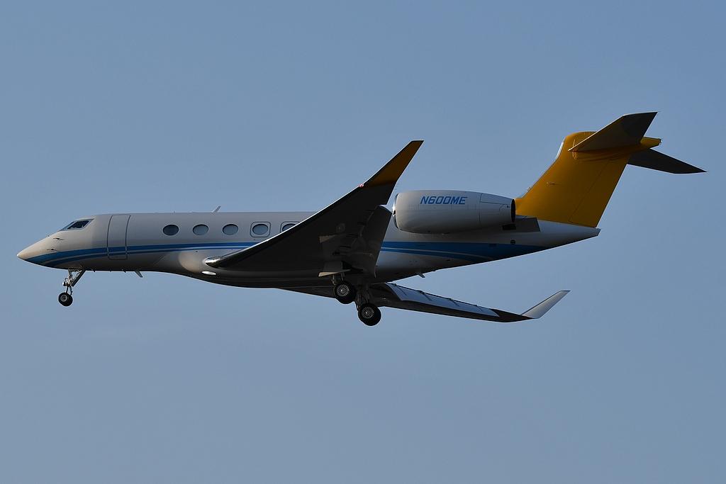 N600ME photo, click to enlarge
