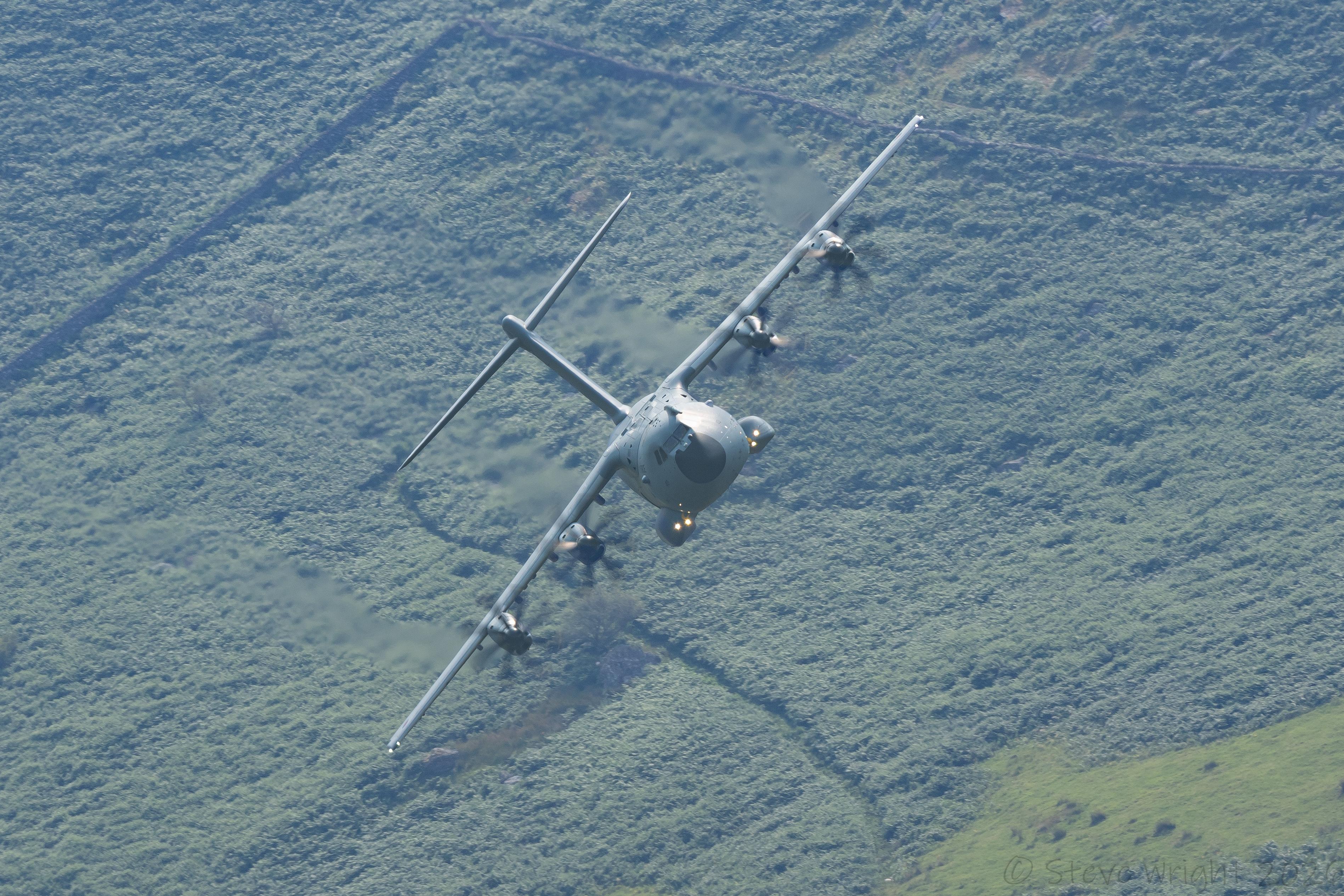 ZM413 photo, click to enlarge