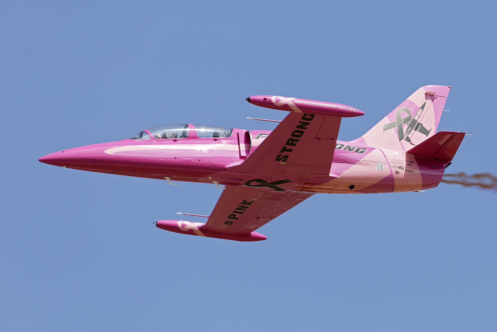 N101PJ photo, click to enlarge
