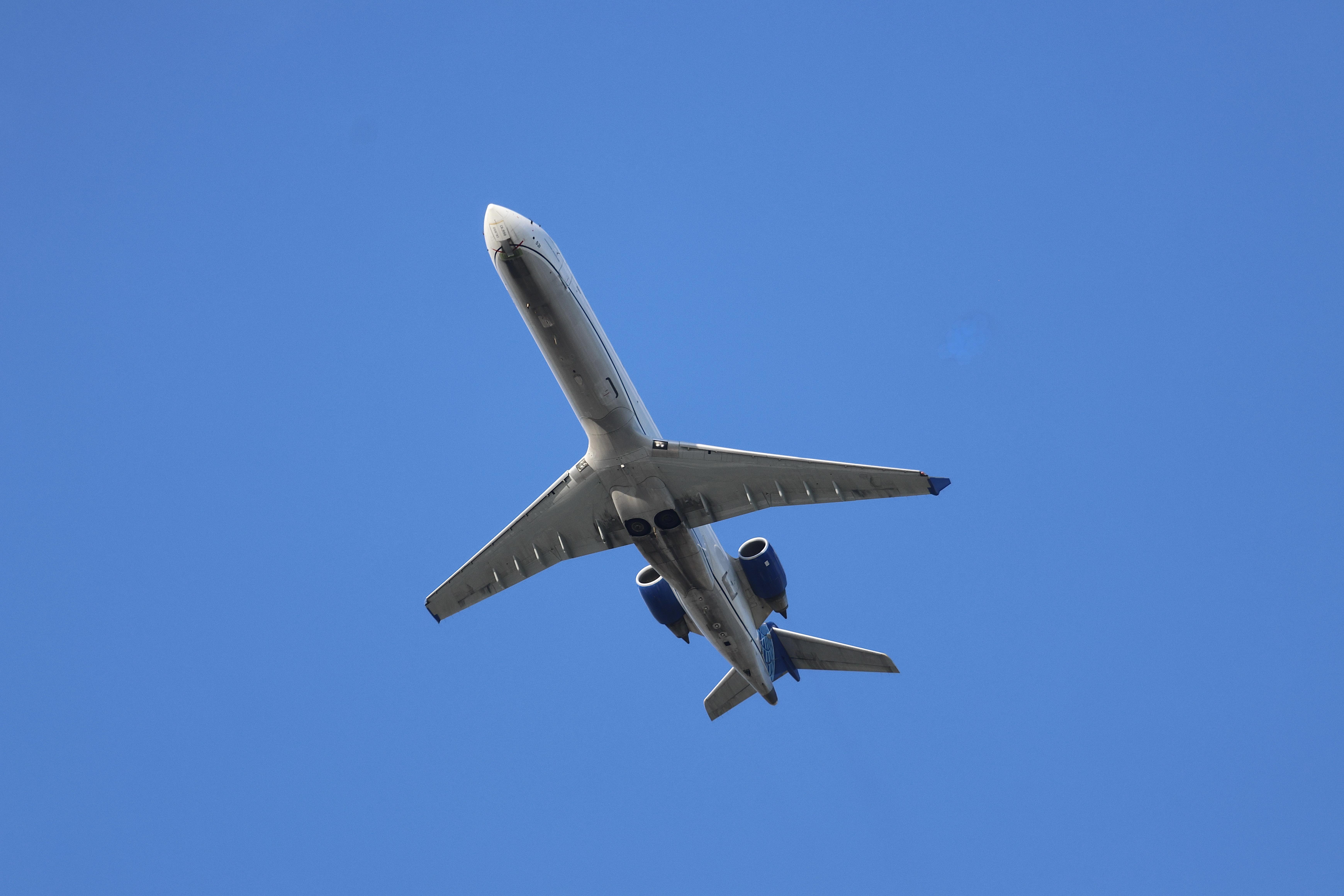 N531GJ photo, click to enlarge