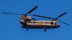 Aircraft 04-08714, CH-47F, photo by AviationLover50