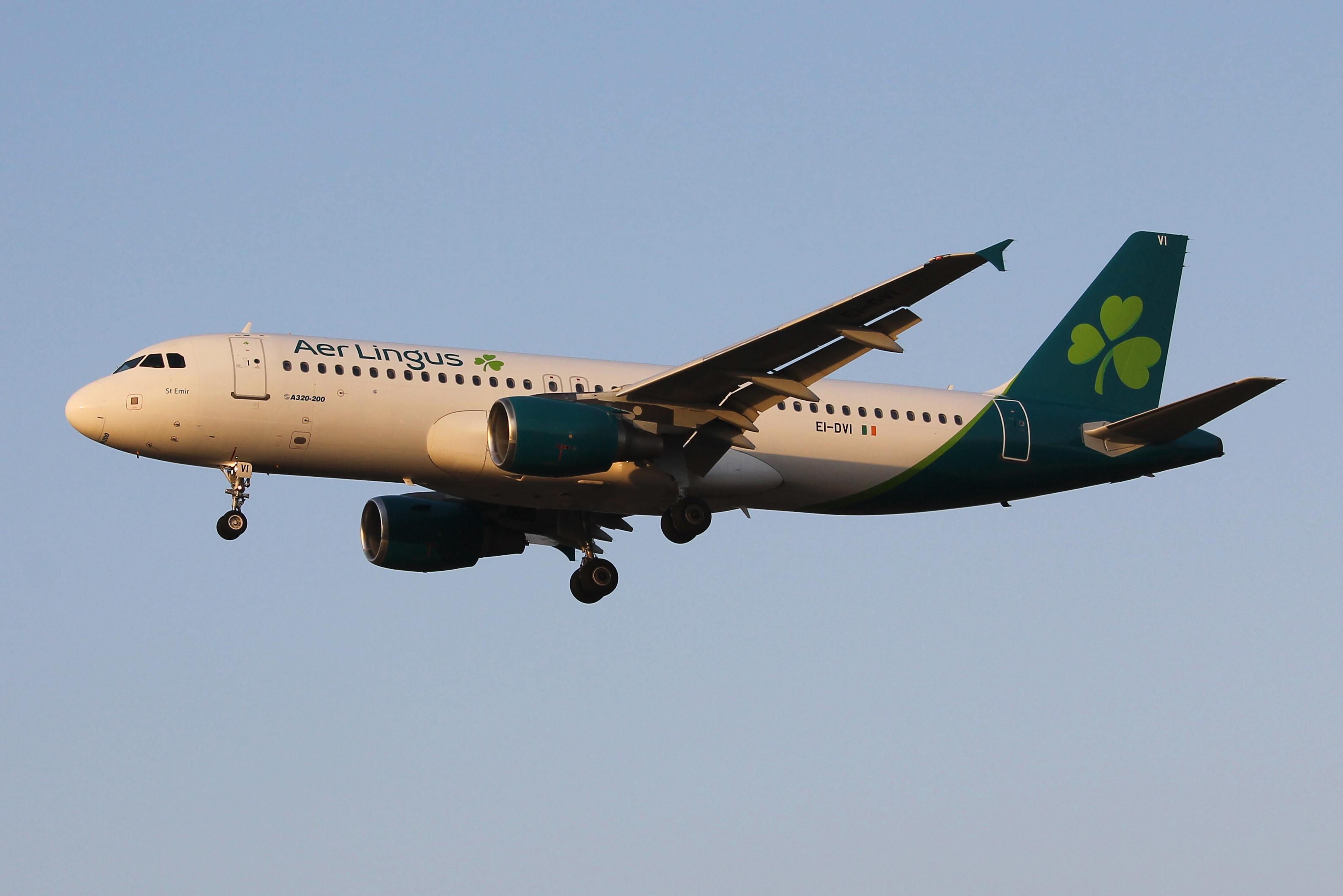 Aircraft EI-DVI, Airbus A320-214 reg EI-DVI of Aer Lingus on final approach for RW31 in the last rays of the sun., at LMML, photo by raymond