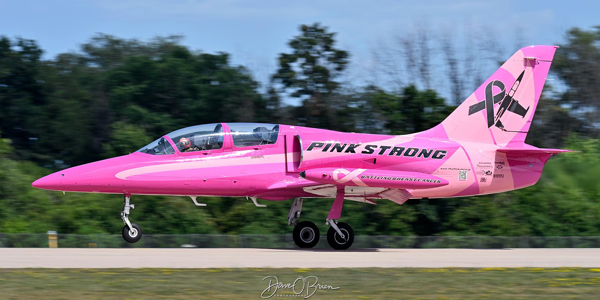 Aircraft N101PJ, Breast Cancer Pink L-39, at KOSH, photo by topgunphotography