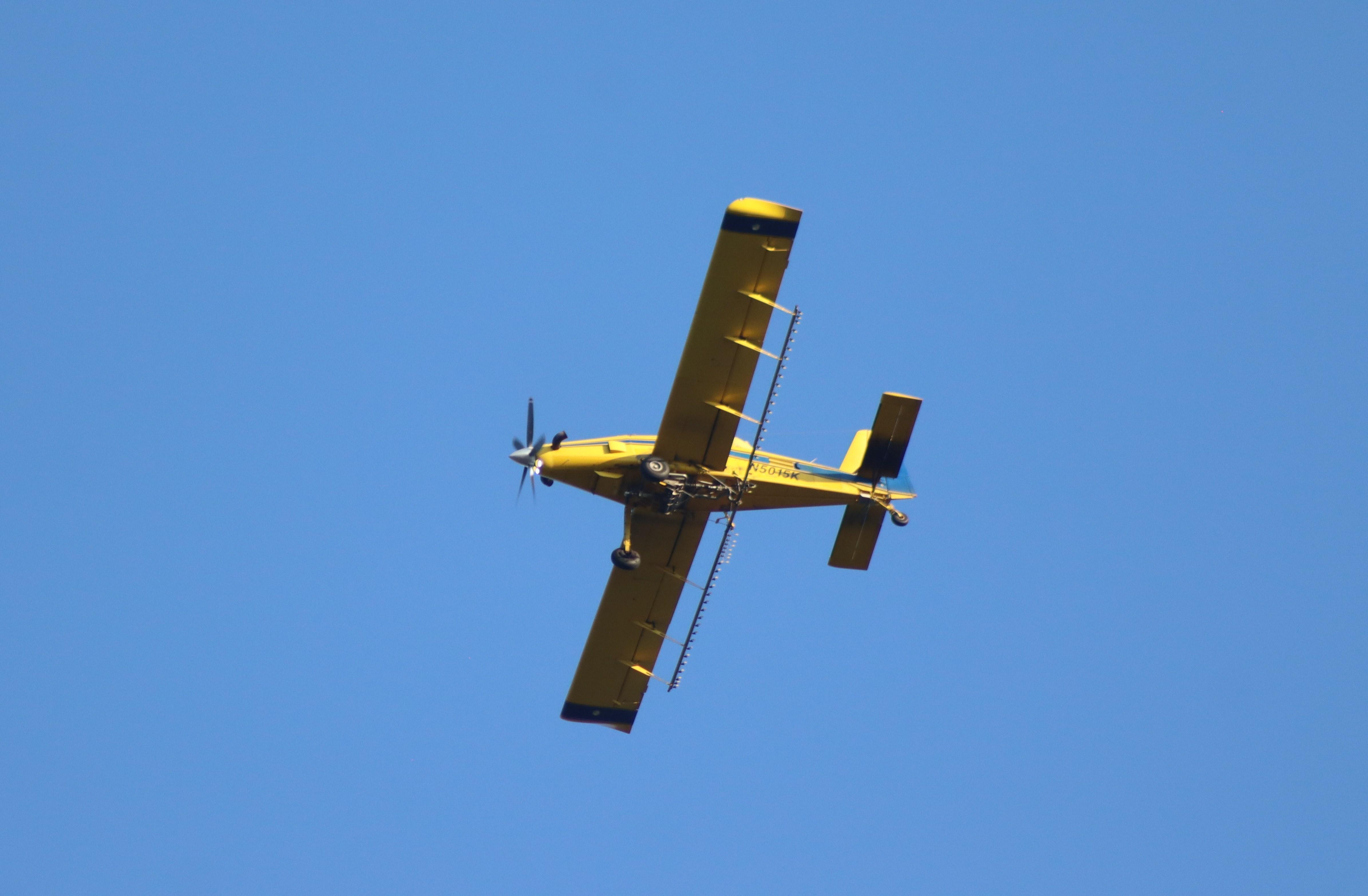 N5015K photo, click to enlarge