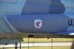 Aircraft 61-0817, insigna, at TIK, photo by olivier Cortot
