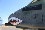 Aircraft 77-0199, data markings, photo by Olivier Cortot