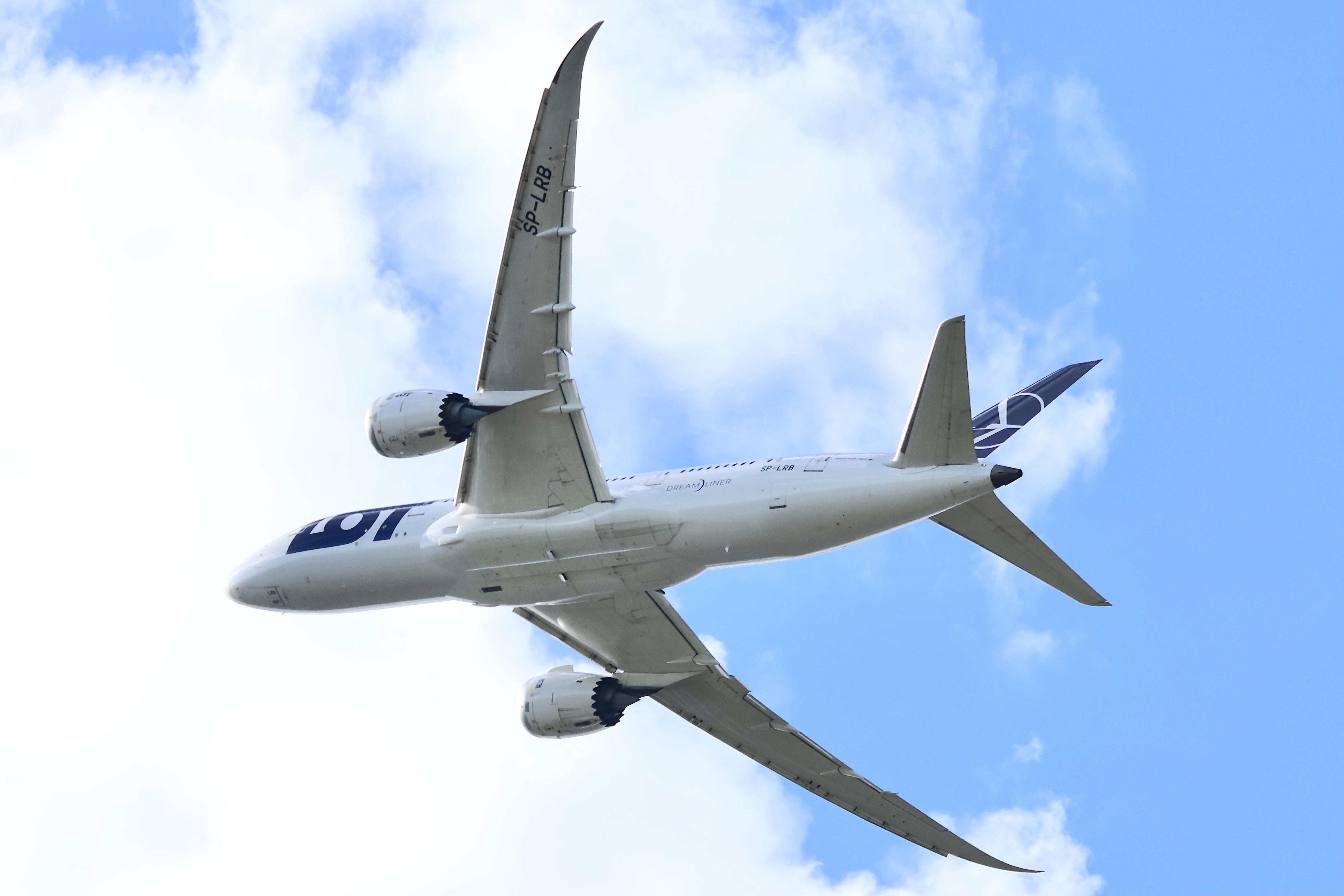 SP-LRB photo, click to enlarge