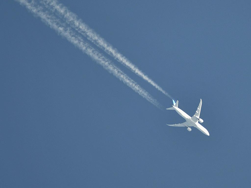 EC-NGS photo, click to enlarge