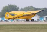 N290AM photo, click to enlarge