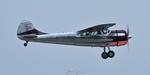 N195PW photo, click to enlarge