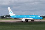 PH-BGA photo, click to enlarge