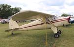 Aircraft N25142, Luscombe 8A, at KOSH, photo by MarkPasqualino