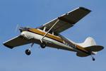Aircraft N3006A, LAA 80th Anniversary Rally, at EGBG, photo by Chris Hall