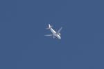EC-MTE photo, click to enlarge