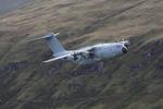 ZM407 photo, click to enlarge