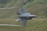 ZM166 photo, click to enlarge