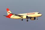 OE-LXF photo, click to enlarge