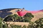Aircraft N448DF, Little Fire Pleasanton California 2026., at LVK, photo by ClaytonEddy