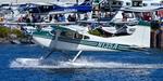 N135A photo, click to enlarge