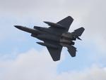 Aircraft 81-0036, USAF F-15C zx, at KOSH, photo by FloridaMetal