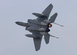 Aircraft 82-0017, USAF F-15C zx only one afterburner, at KOSH, photo by FloridaMetal