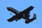 Aircraft 80-0244, USAF A-10 zx, at KOSH, photo by FloridaMetal