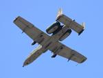 Aircraft 81-0962, USAF A-10 zx, at KLAL, photo by FloridaMetal