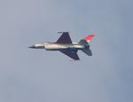 Aircraft 91-0395, USAF F-16C zx, at KYIP, photo by FloridaMetal
