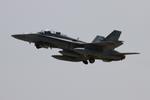 Aircraft 188939, RCAF CF-188 zx, at KOSH, photo by FloridaMetal